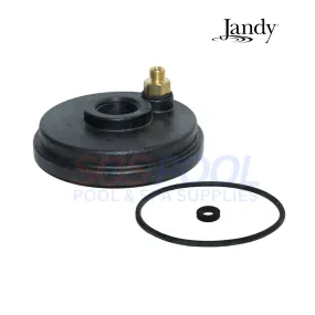 Jandy Cap Sensor and Pressure Switch O-Ring For LXi and Legacy Heaters | R0455400
